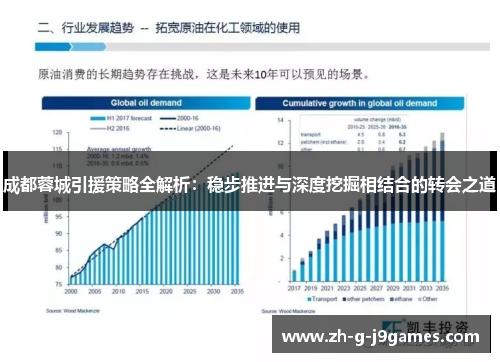 成都蓉城引援策略全解析:稳步推进与深度挖掘相结合的转会之道 成都蓉城引援策略全解析:稳步推进与深度挖掘相结合的转会之道