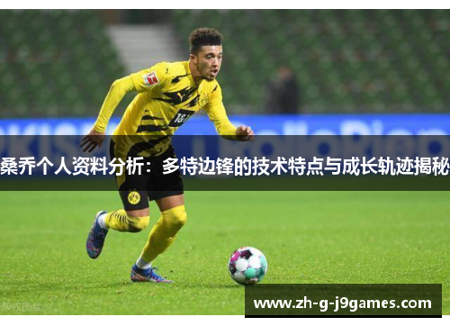 桑乔个人资料分析：多特边锋的技术特点与成长轨迹揭秘