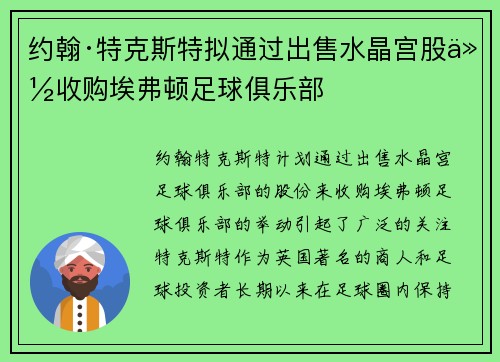 约翰·特克斯特拟通过出售水晶宫股份收购埃弗顿足球俱乐部