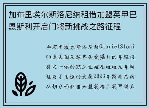 加布里埃尔斯洛尼纳租借加盟英甲巴恩斯利开启门将新挑战之路征程 加布里埃尔斯洛尼纳租借加盟英甲巴恩斯利开启门将新挑战之路征程